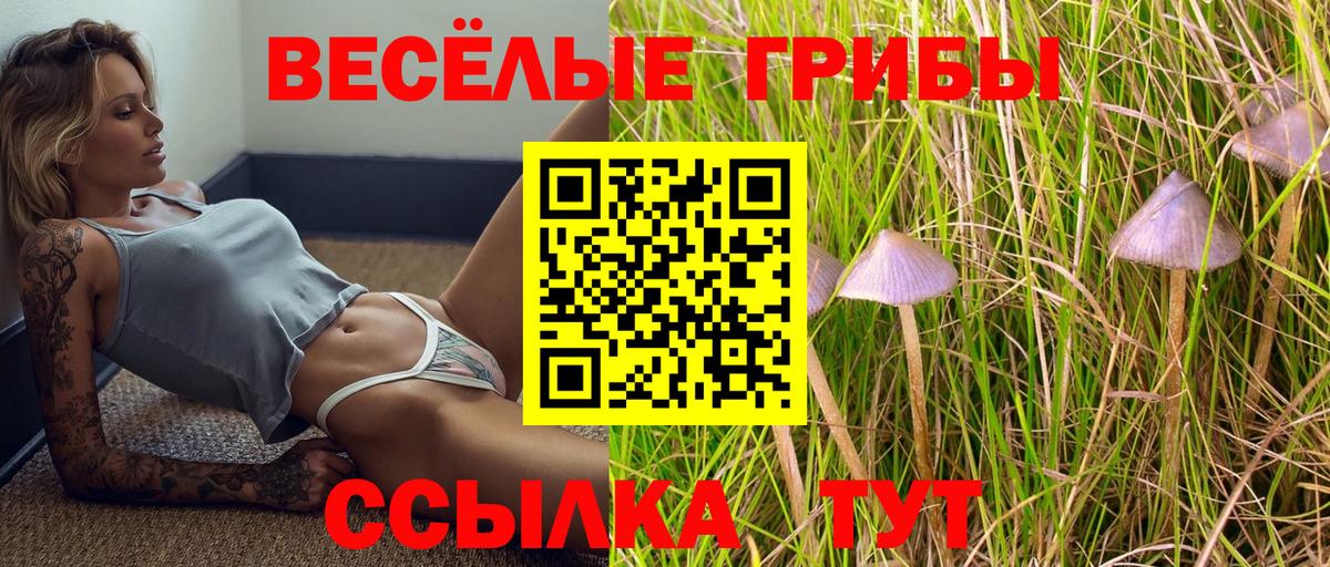 Псилоцибиновые грибы мицелий Тельмана